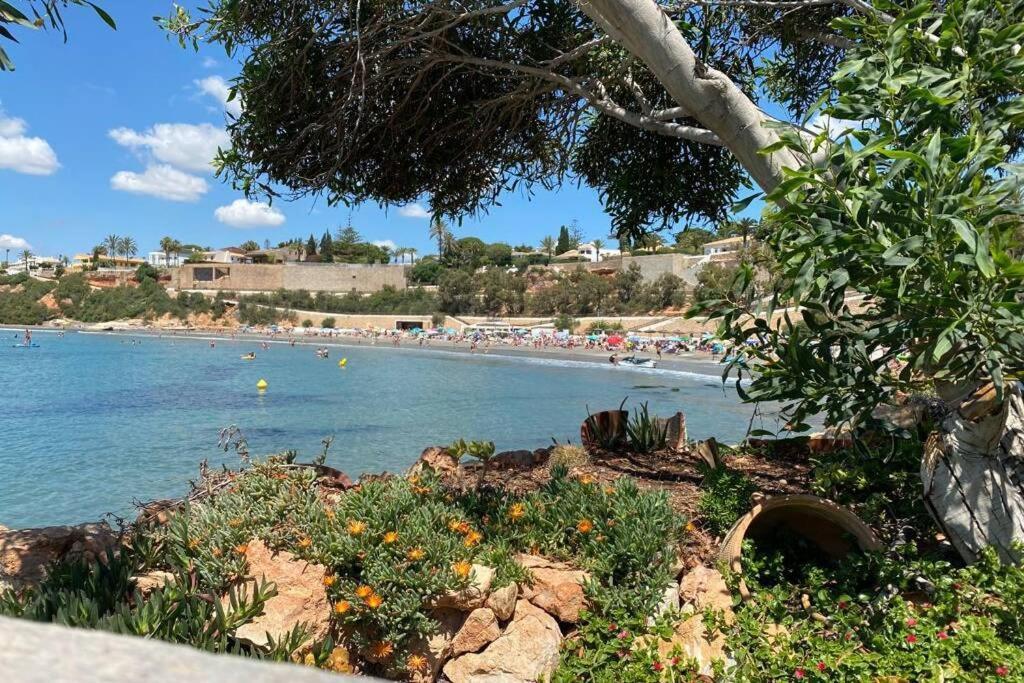 Luxury Penthouse Oasis Beach VIII Orihuela Costa Punta Prima Torrevieja Zewnętrze zdjęcie